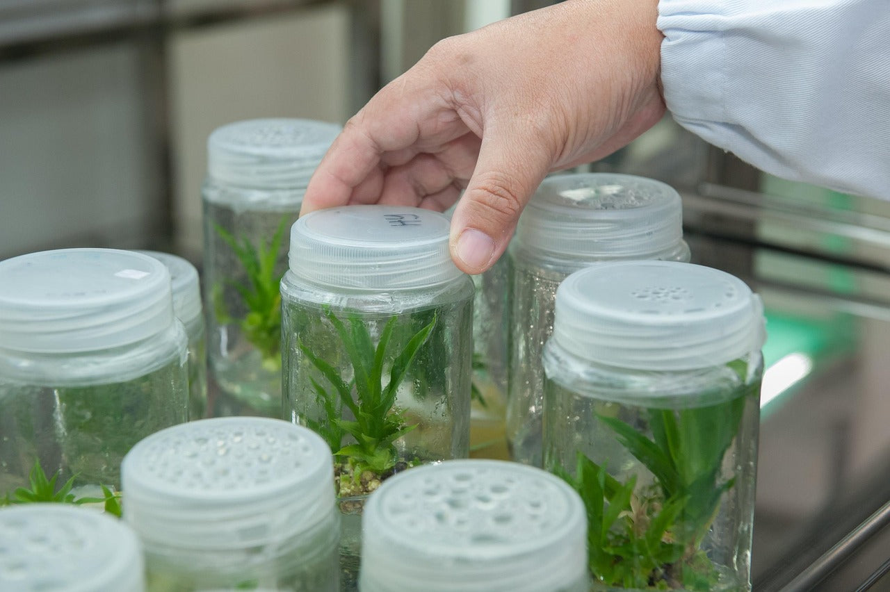 What Are PFAS? Forever Chemicals Explained & How to Avoid Them